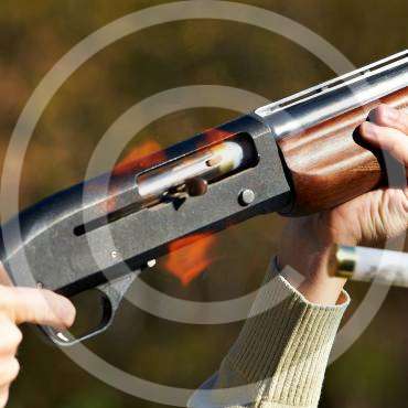 Best Rifles for Hunting